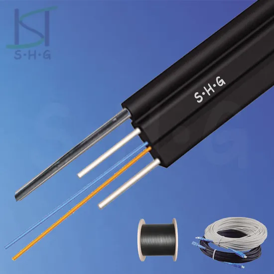 Factory Price LSZH FRP/Steel Optical 1/2/4 Core Flat FTTH Indoor/Outdoor Drop Fiber Optic Cable 