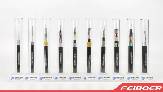 GYTA 53 Single Mode 12 Core Fiber Optic Cable 24 48 Core Duct Armored Direct Burial GYTA/ GYTS Fiber Optic Cable 