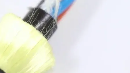 All Dielectric Outdoor Aerial G652D Fiber Optic ADSS Asu Cable (ADSS) China Supplier 
