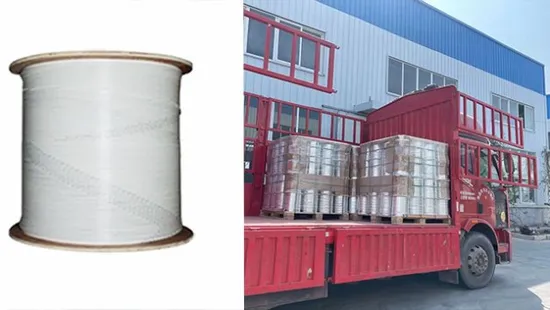 1/2/ 4 Core FTTH LSZH Fiber Optic Cable Indoor Singlemode Drop Cable 